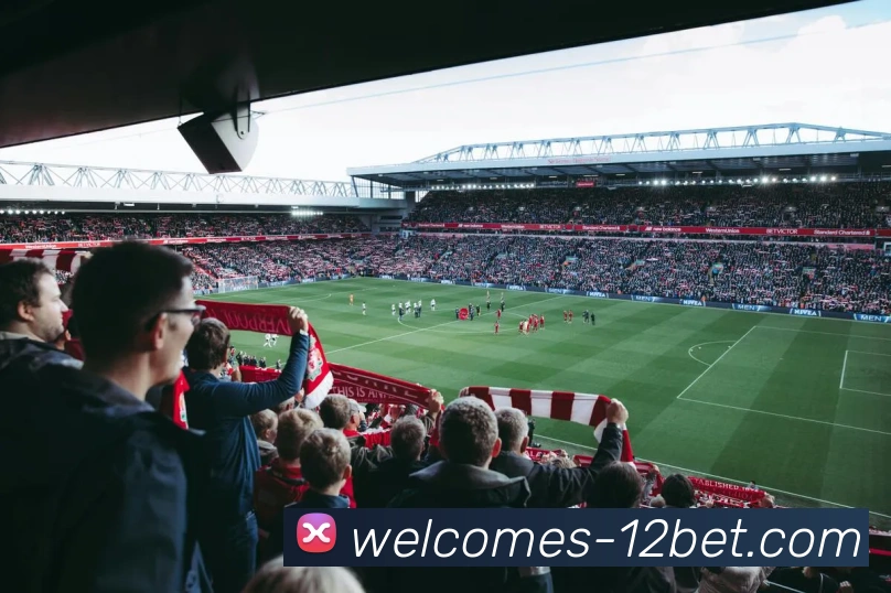 壹贰博12BET官网平台生态图